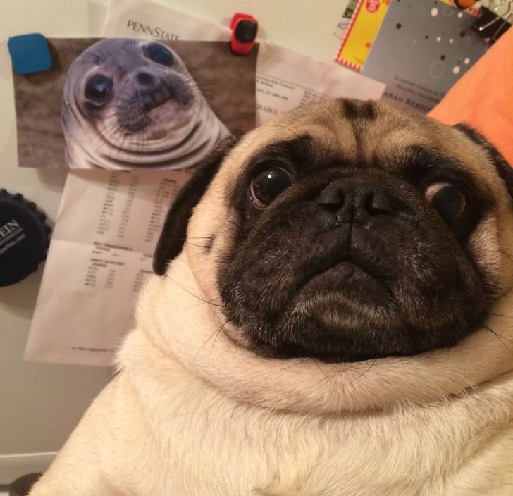 853185590c892f204812c61dcc