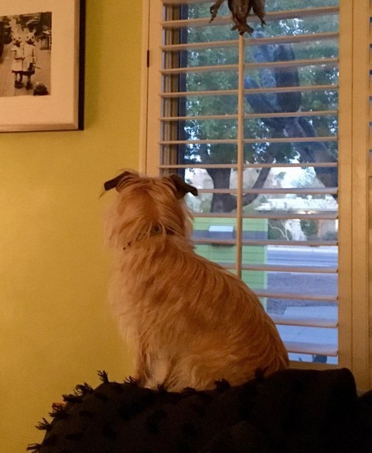 853845571da019c1417a420de8