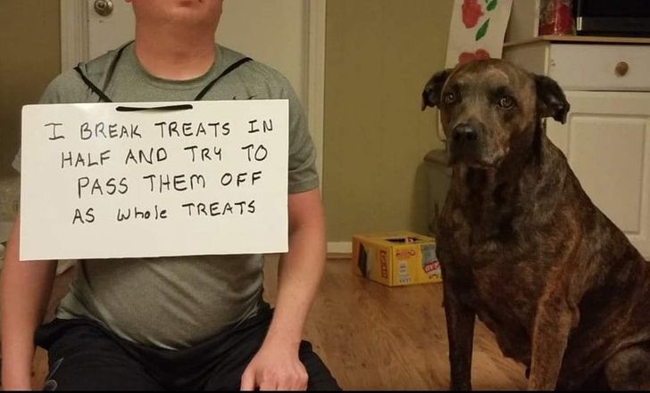 8539065ef79c31dad3ac3fe133