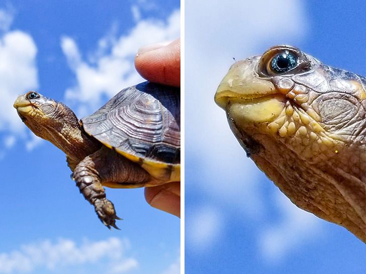 85395559fdb2bf5314c319ddfc