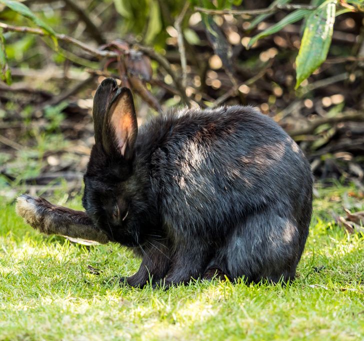 853a40590aaa397a9a3cd31d10