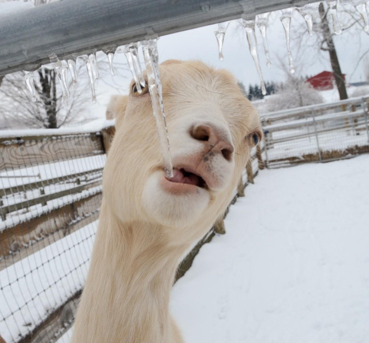 853ad958aab2c31f028cd74ee0