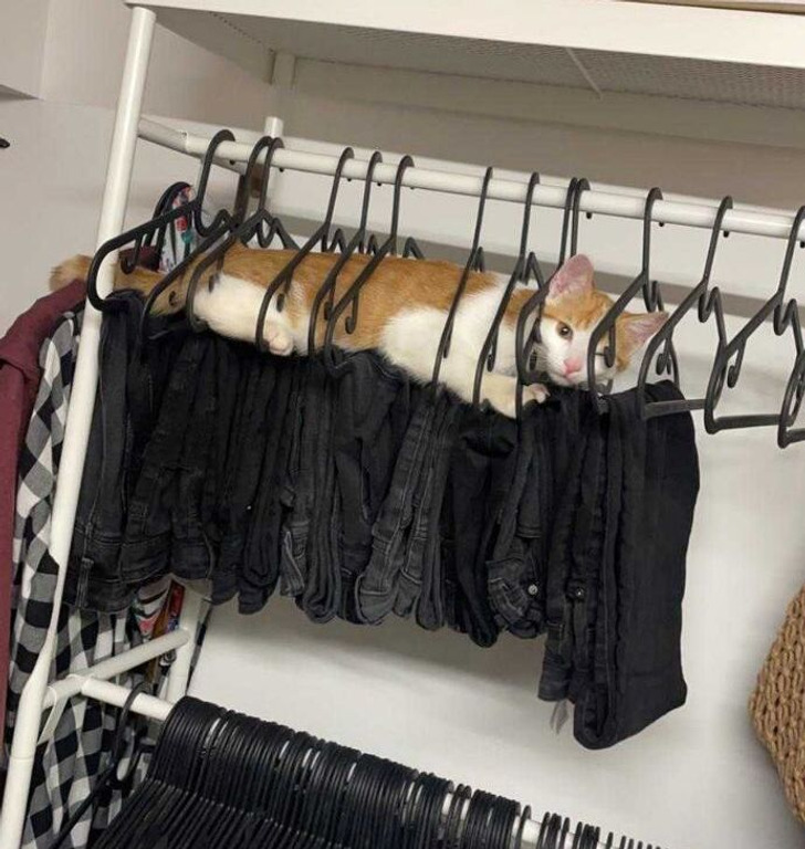 853e4f56e08709a3e42748aebb 853e4f56e08709a3e42748aebb