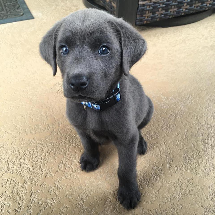 8541e15268ae6a595dc383b1b4