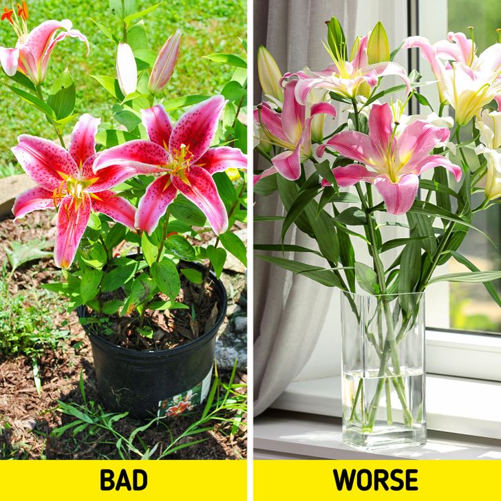 8542855e89885f4905fa5b36b1