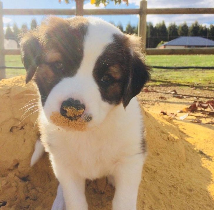 85510d5213b5adeb6ac50410cf