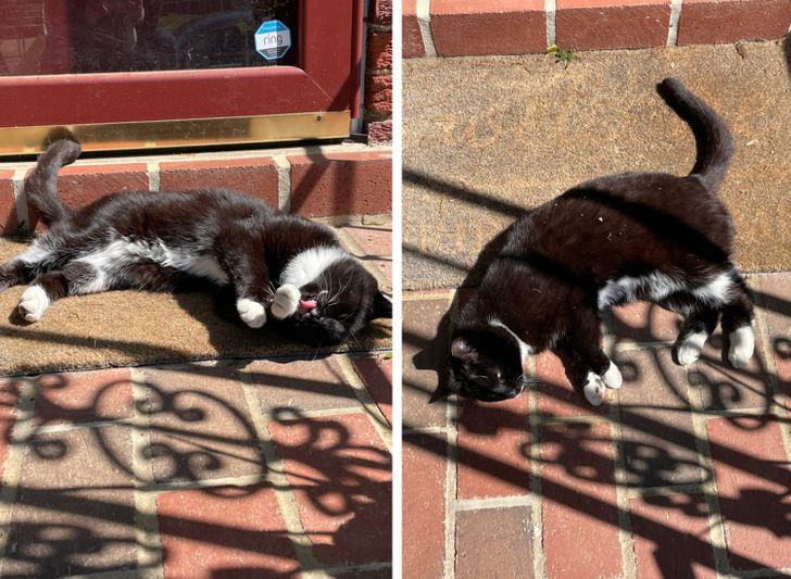 8551825b8883fbd9ecc5e29c1a 8551825b8883fbd9ecc5e29c1a