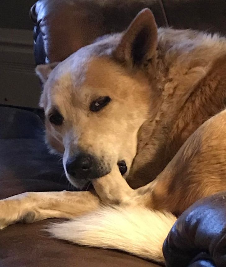 8551f154e591f447b4c4456e0f