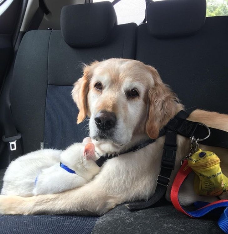 8555c25aaf95232a2461f798d6