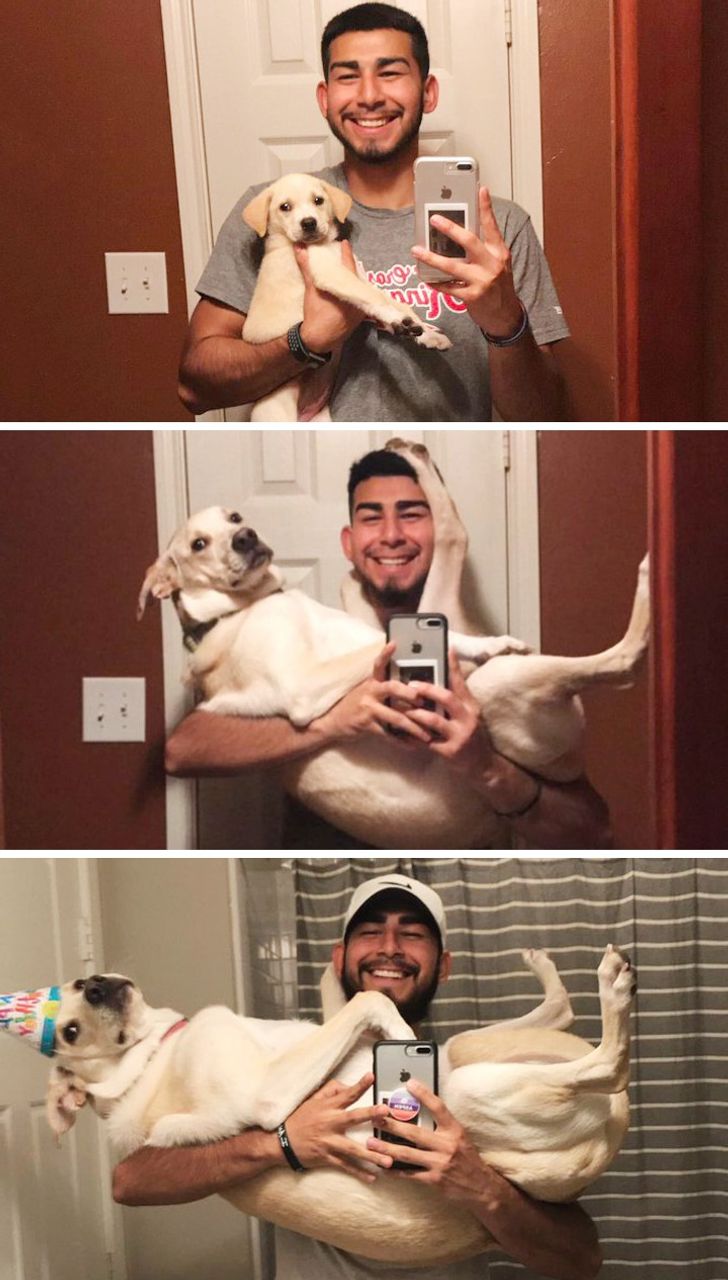 856d045b5e8094523c23022abc