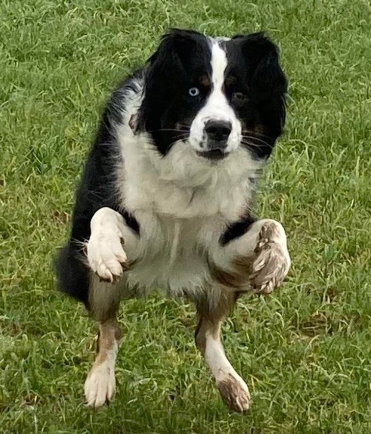 856f565721be6d0204071823b3