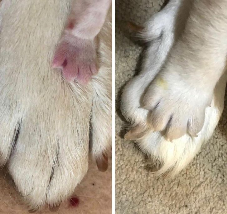 85738d500e8eaff7612101335c