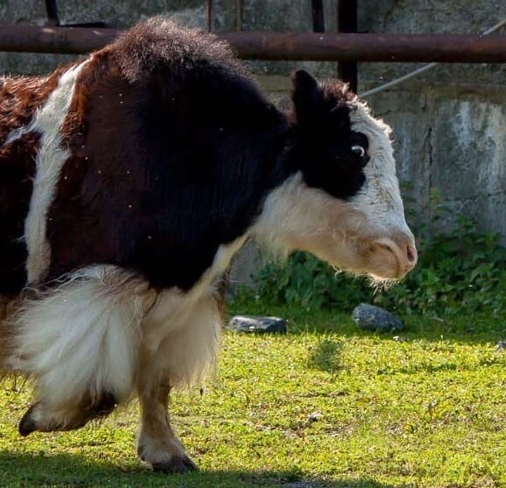 8573e1574a9bd8662e7cc74736