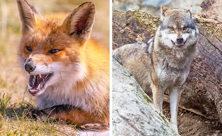 8574df5b1ab2287d7b74c59139