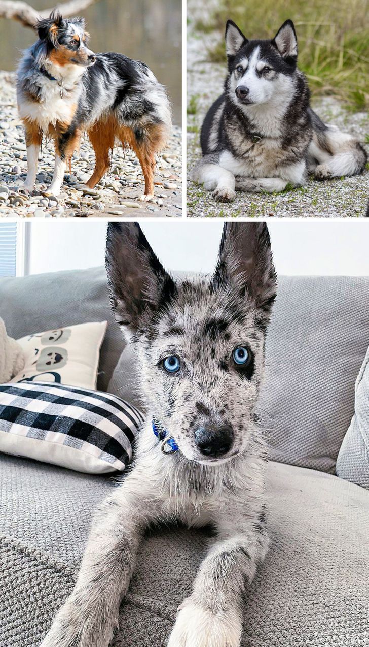 8575075ef4be57cf489b12f516