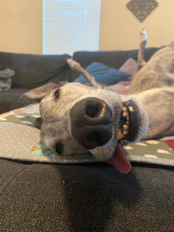 8581b9513cad03e7da9adf9d82