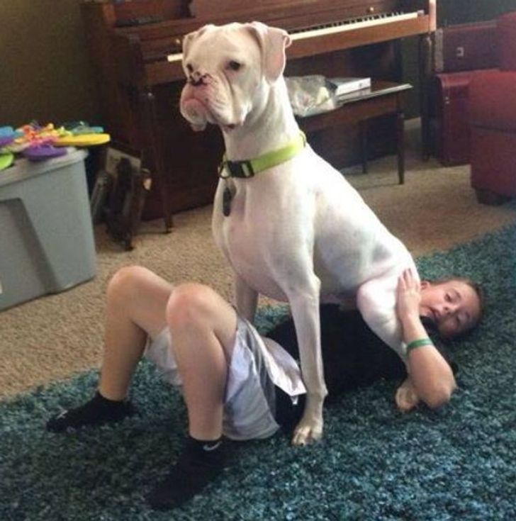 8583e75f2bad42c45fcc3b092e