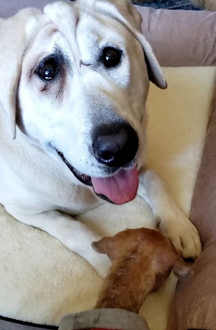 85863d5ab687507c3e8cea2ce5