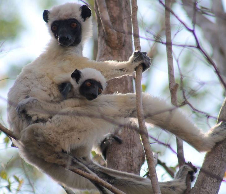 85953b592088be57acc224ad15