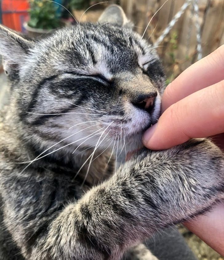 8596805396be9db339c68d5f9a