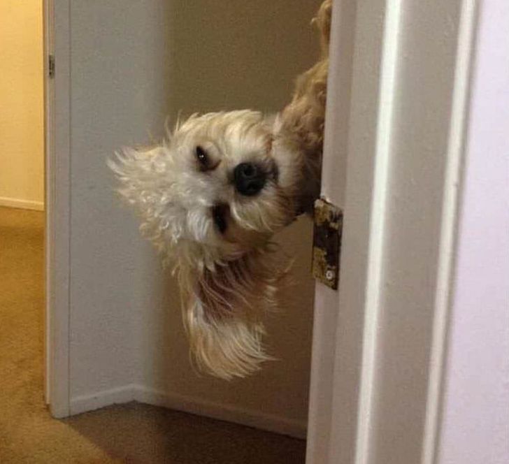 8596d853edb4587176ad6fd3fe