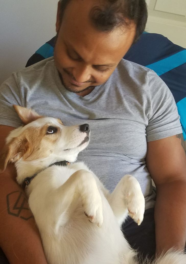 8599bb58d68404585a0574c6ef