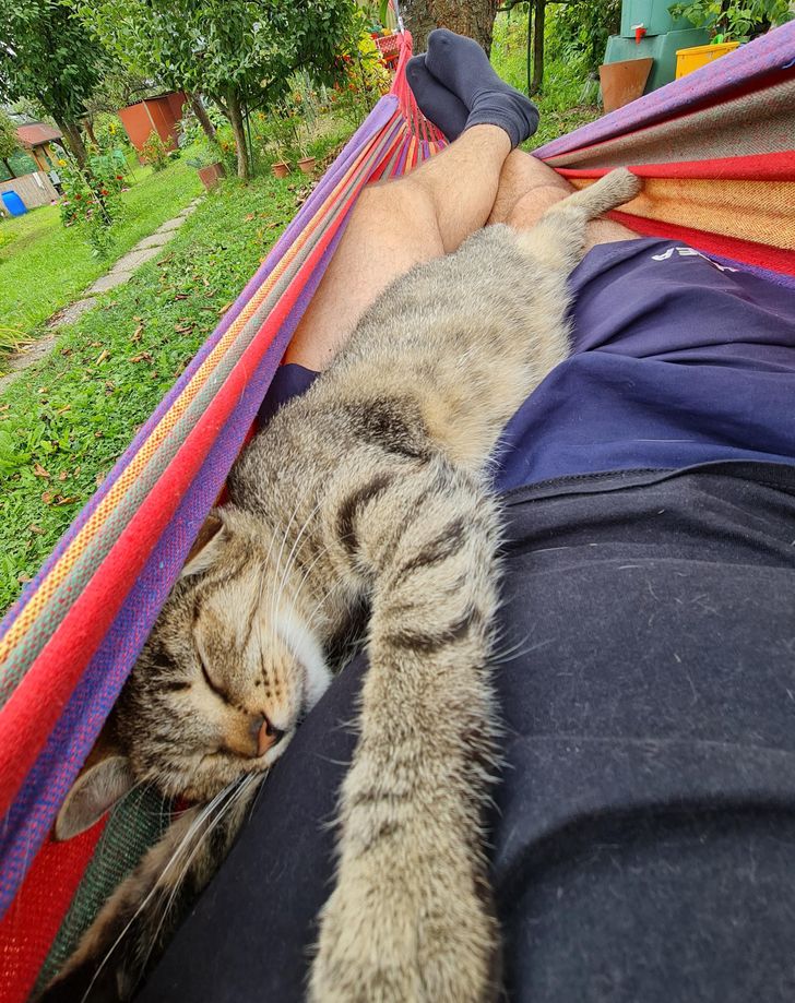 8599ed5f869b17864ef0ac01f6