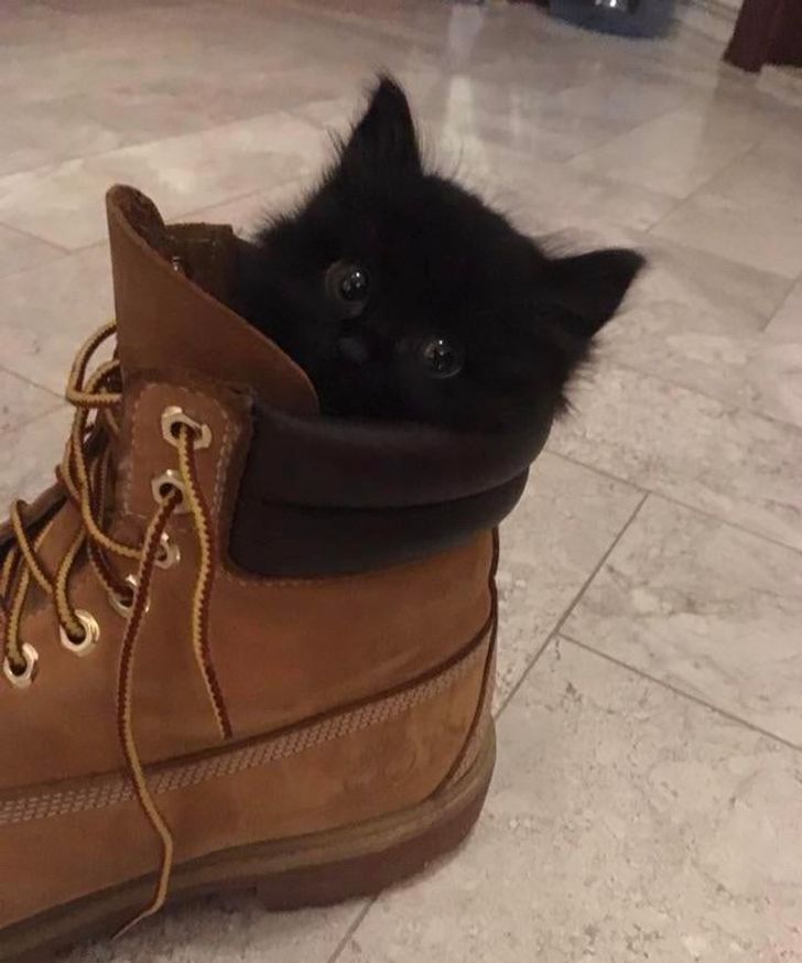 85a2ae537987656202be28fbe5