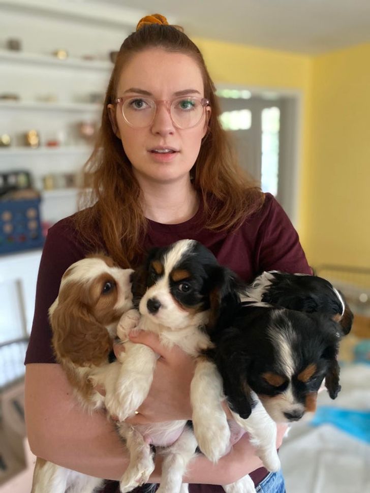 85a558541fb5e35194898ded27