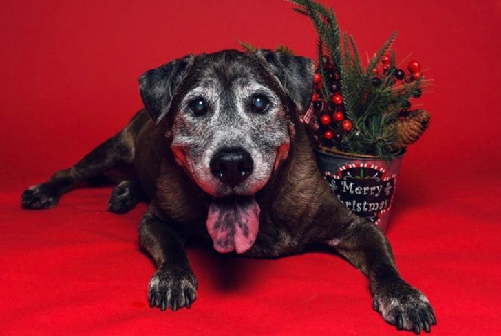 85a6c0525bac028ad0bab1a34b