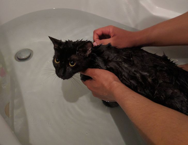 85abcd544aa42d4f1c1e145d32