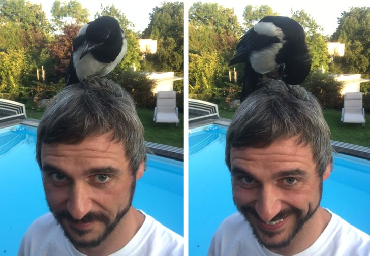 85acd55d0293e888391ccd73b0