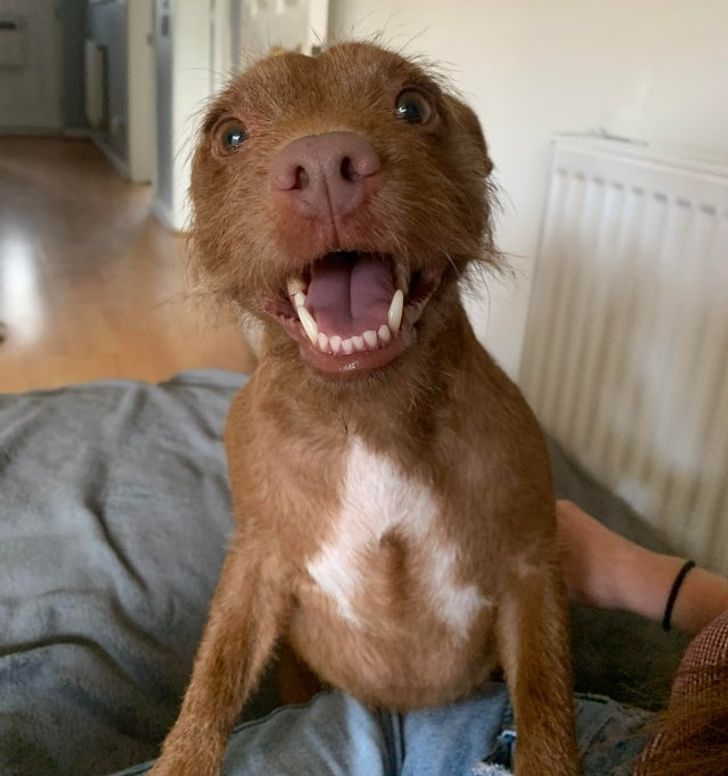 85afdb5618a25c2c293107c418