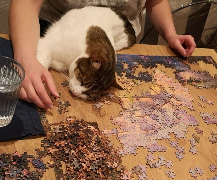 85b4975ff6aeb621cfe0a4f9f4