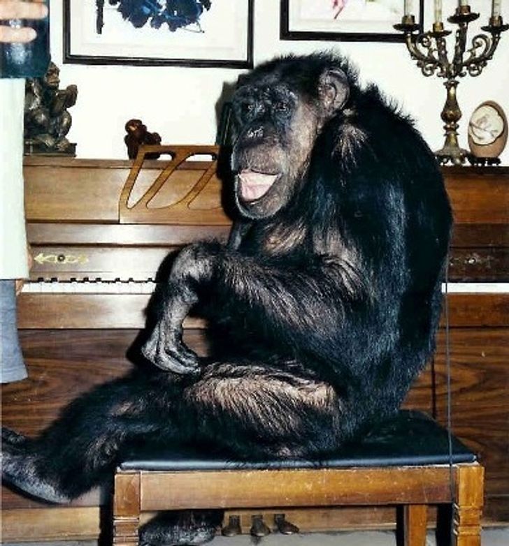 85b53e5a0c8c6cdc71f7e96bce