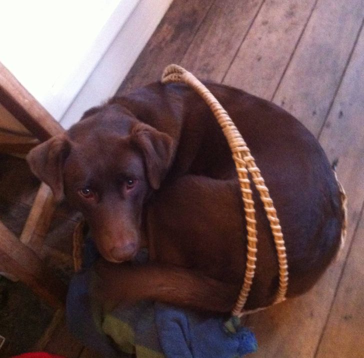 85b74a5ac3847470abcacae99f