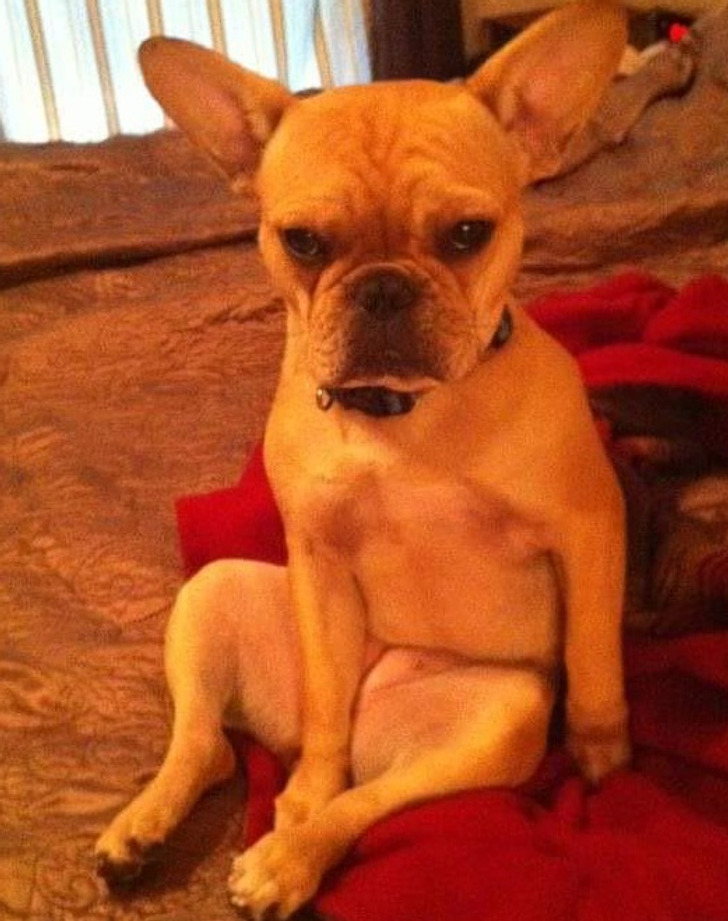 85ca9d518685d59e00667656e5