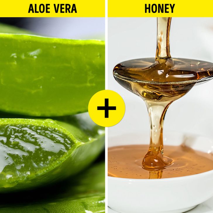 85d86558bd84ecaaaf59f57113