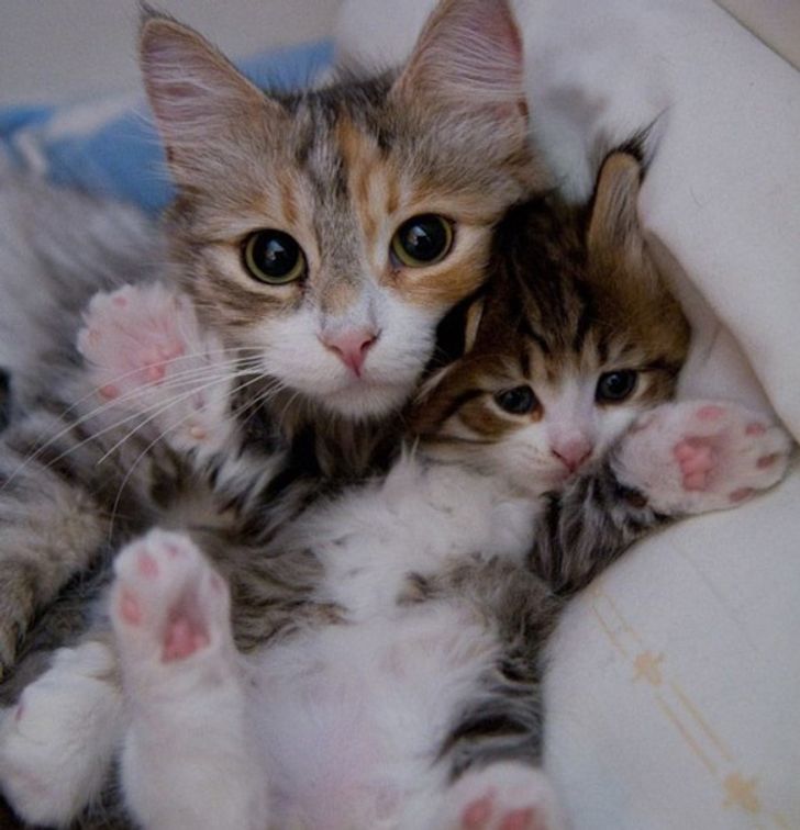 85e7d455d892867833c6717630