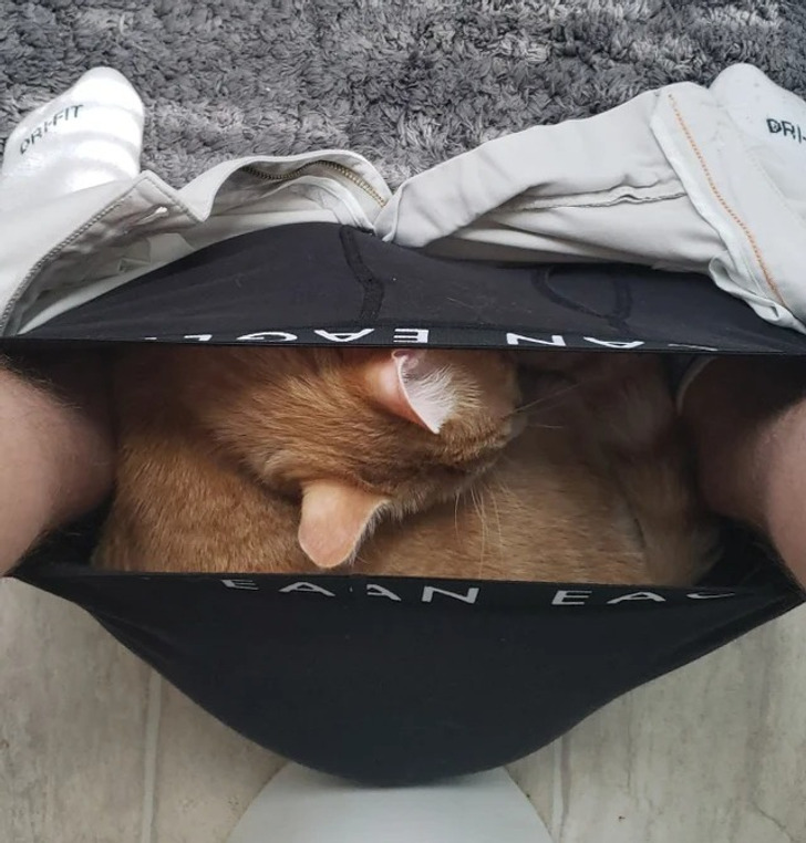 85e9da5957b974bc4d2b44677c