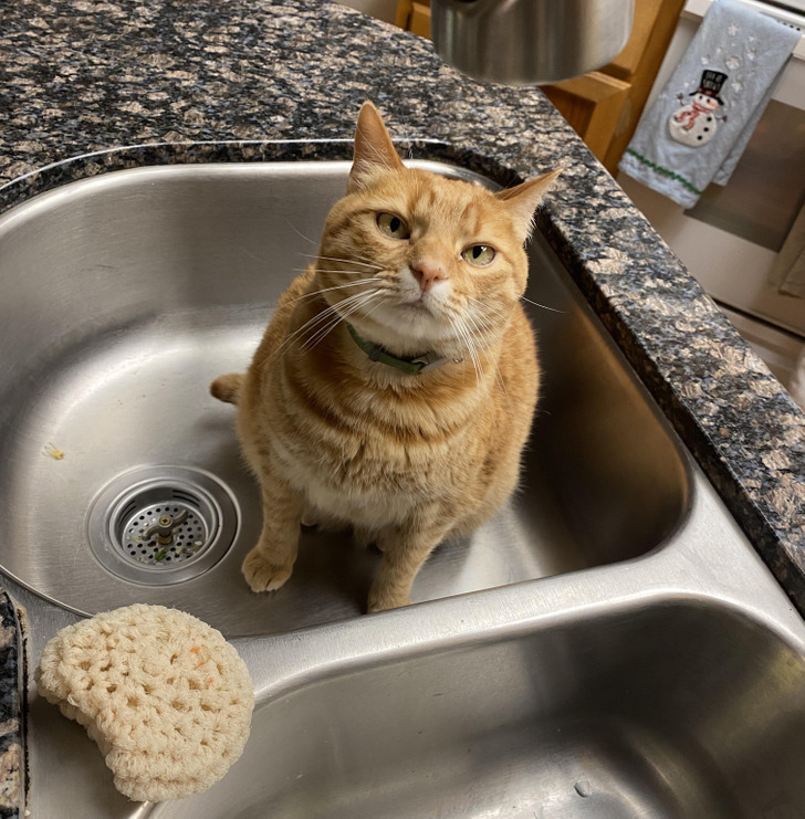 85f4f85fb09647aa6b738c32ca 85f4f85fb09647aa6b738c32ca