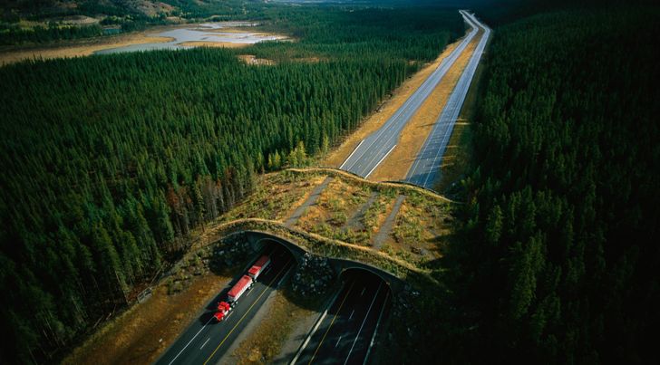 85f5e35324a91e9cb00c140cd9