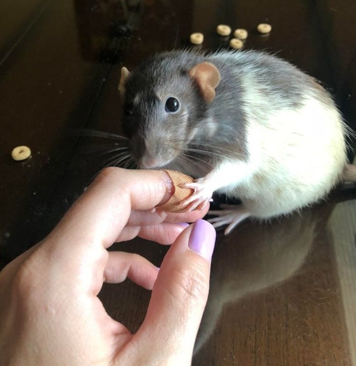 85f8e75af5b8da91cca0d98d03