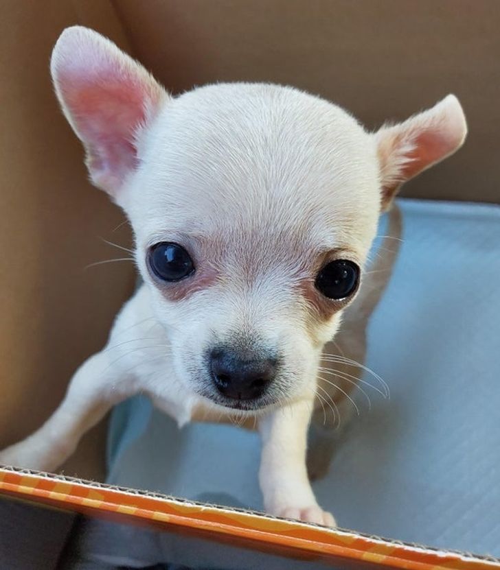 85fa6d5e8ba5c0237836134f10