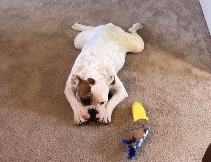 85fe2d5ba5bcd3ed9219302852