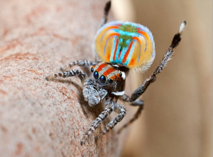 85ff6f5b4fa04b4ae271ee2c26