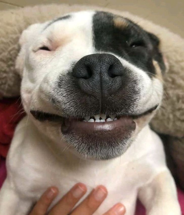 85ffc655f2af1830decb47c748