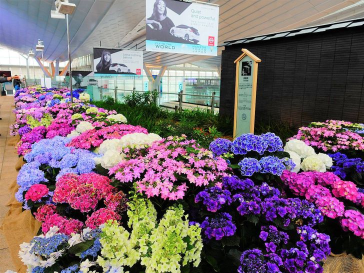 8600ef55e7a3cd6e89bd305cfd