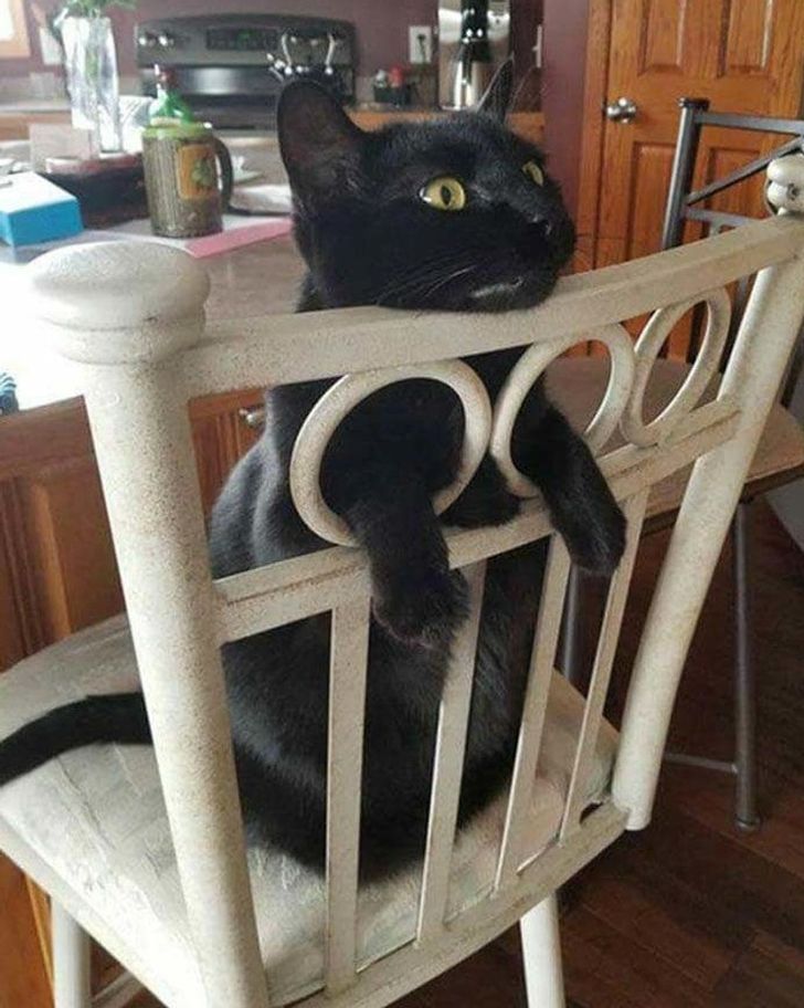 8606645a0f840dd1e2f444402a