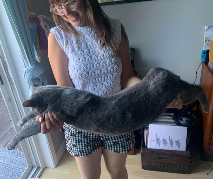 8608515ad69e152996a672da06 8608515ad69e152996a672da06